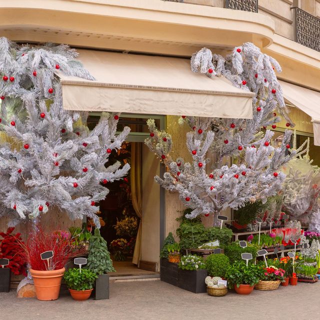 Photo: Flower shop storefront with potted plants and decorated trees under striped awnings